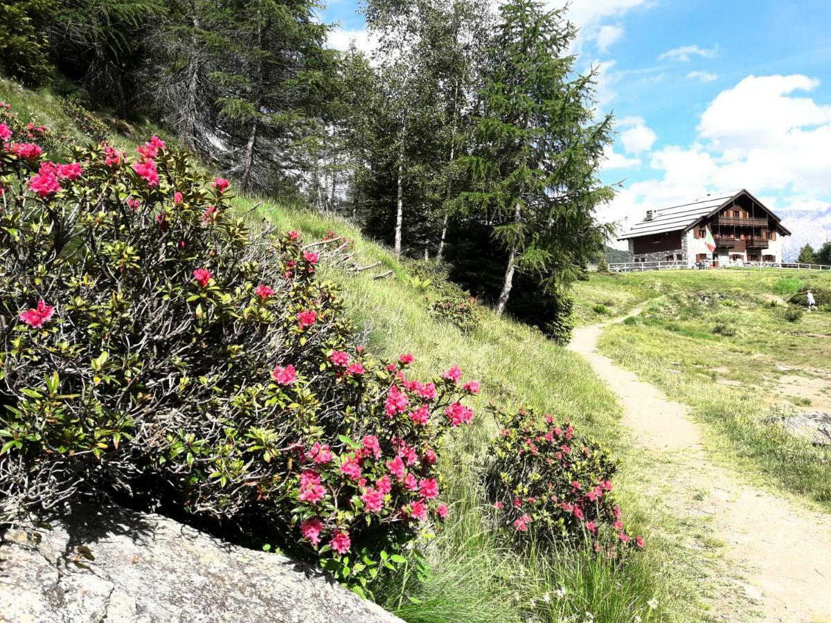 Rifugio Al Lago Del Mortirolo In Inverno Raggiungibile Solo A Piedi Villa Monno Luaran gambar